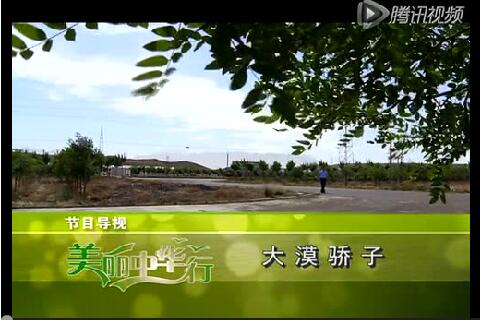 美丽中华行-大漠骄子导视-贺兰山驼羔绒被