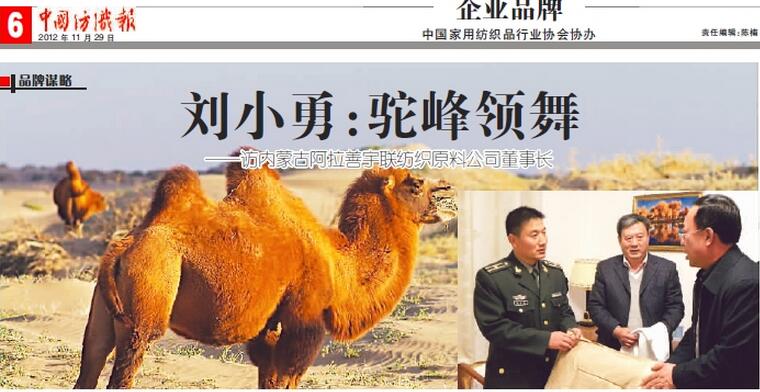 驼峰领舞---中国纺织报专访宇联公司董事长